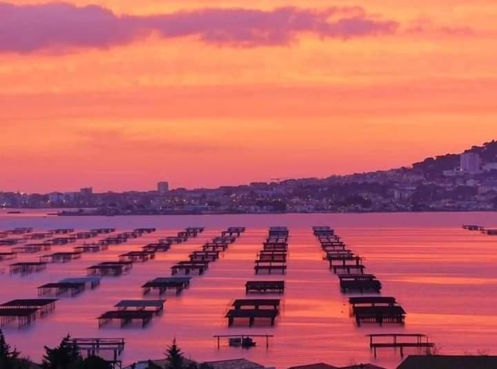 Bel Appartement Centre Ville Sète Dış mekan fotoğraf